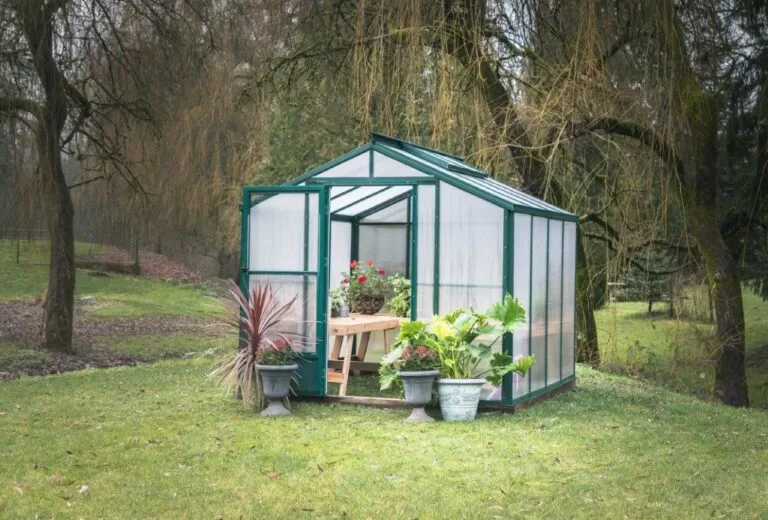 sunhaven greenhouse